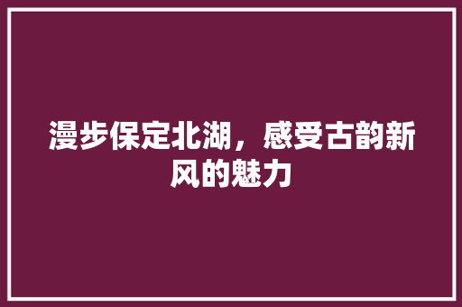 漫步保定北湖，感受古韵新风的魅力  第1张