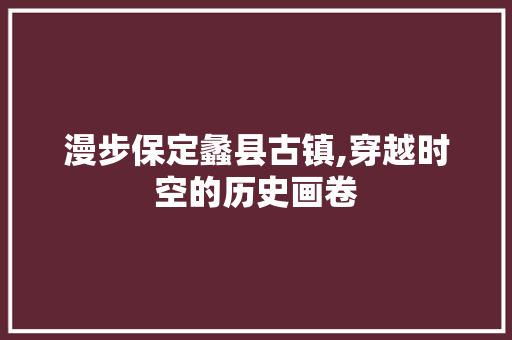 漫步保定蠡县古镇,穿越时空的历史画卷  第1张