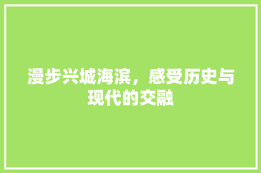 漫步兴城海滨，感受历史与现代的交融