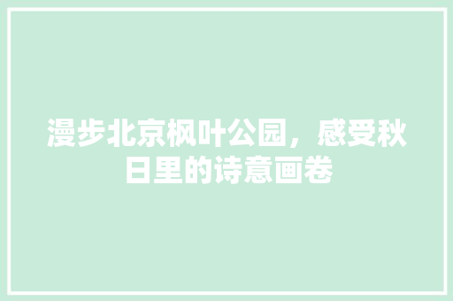 漫步北京枫叶公园，感受秋日里的诗意画卷