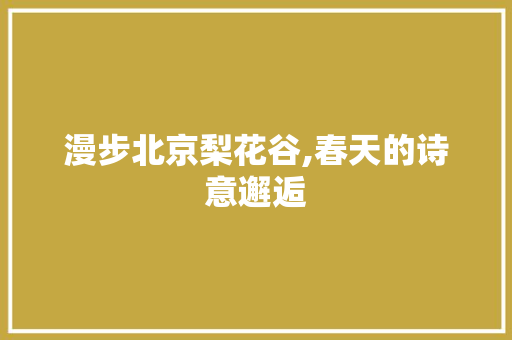 漫步北京梨花谷,春天的诗意邂逅