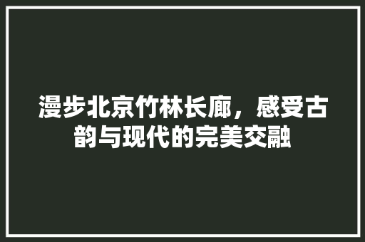 漫步北京竹林长廊，感受古韵与现代的完美交融