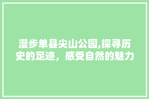 漫步单县尖山公园,探寻历史的足迹，感受自然的魅力