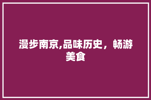 漫步南京,品味历史，畅游美食