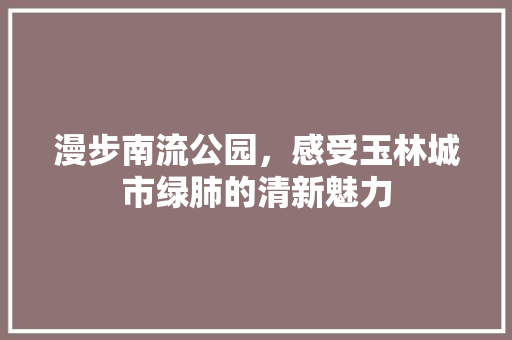漫步南流公园，感受玉林城市绿肺的清新魅力