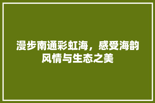 漫步南通彩虹海，感受海韵风情与生态之美