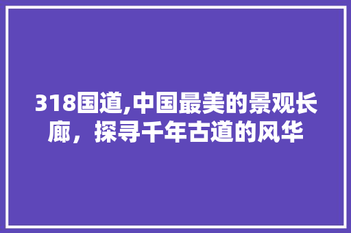 318国道,中国最美的景观长廊，探寻千年古道的风华