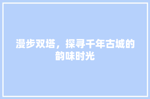 漫步双塔，探寻千年古城的韵味时光  第1张