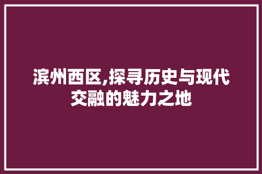 滨州西区,探寻历史与现代交融的魅力之地