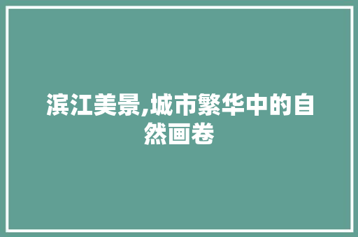 滨江美景,城市繁华中的自然画卷  第1张