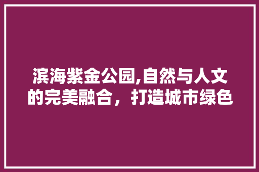 滨海紫金公园,自然与人文的完美融合，打造城市绿色新地标