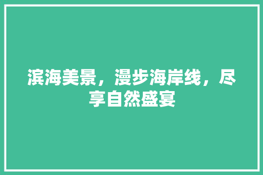 滨海美景，漫步海岸线，尽享自然盛宴  第1张