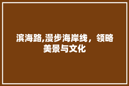 滨海路,漫步海岸线，领略美景与文化  第1张