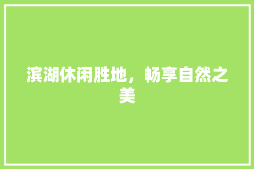 滨湖休闲胜地，畅享自然之美  第1张
