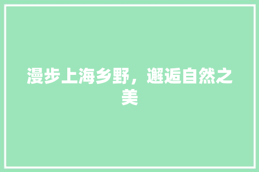 漫步上海乡野，邂逅自然之美