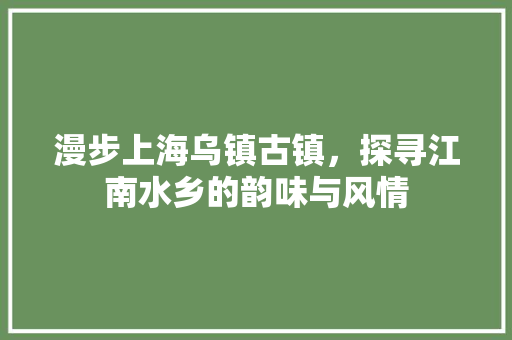 漫步上海乌镇古镇，探寻江南水乡的韵味与风情