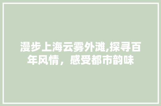 漫步上海云雾外滩,探寻百年风情，感受都市韵味