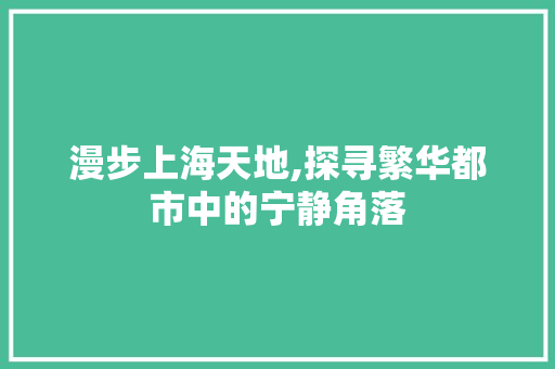 漫步上海天地,探寻繁华都市中的宁静角落