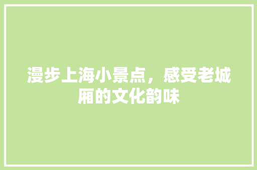 漫步上海小景点，感受老城厢的文化韵味