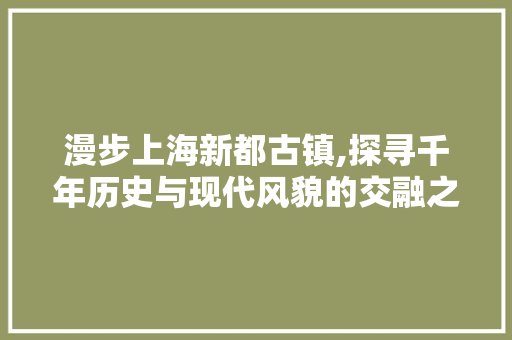 漫步上海新都古镇,探寻千年历史与现代风貌的交融之地