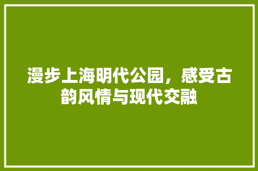 漫步上海明代公园，感受古韵风情与现代交融