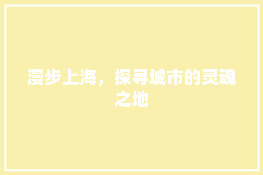 漫步上海，探寻城市的灵魂之地