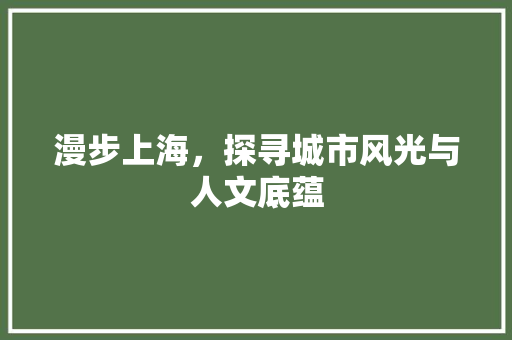 漫步上海，探寻城市风光与人文底蕴