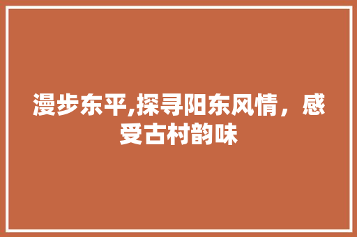 漫步东平,探寻阳东风情，感受古村韵味