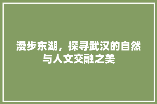 漫步东湖，探寻武汉的自然与人文交融之美  第1张