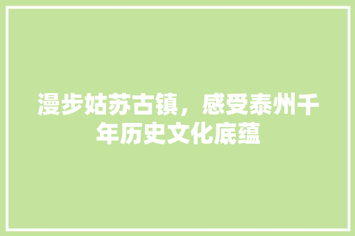 漫步姑苏古镇，感受泰州千年历史文化底蕴  第1张