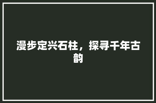 漫步定兴石柱，探寻千年古韵