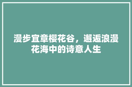 漫步宜章樱花谷，邂逅浪漫花海中的诗意人生