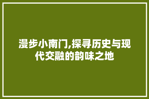漫步小南门,探寻历史与现代交融的韵味之地