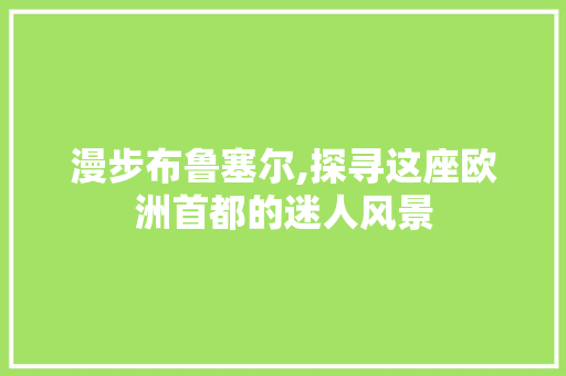 漫步布鲁塞尔,探寻这座欧洲首都的迷人风景