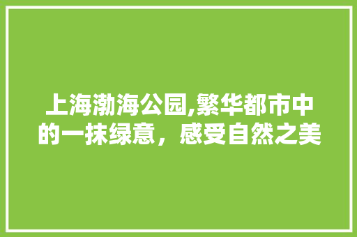 上海渤海公园,繁华都市中的一抹绿意，感受自然之美