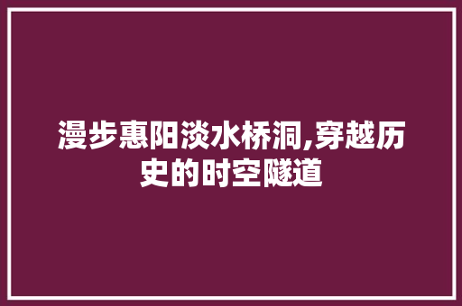 漫步惠阳淡水桥洞,穿越历史的时空隧道