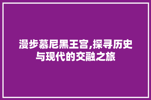 漫步慕尼黑王宫,探寻历史与现代的交融之旅  第1张