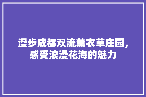 漫步成都双流薰衣草庄园，感受浪漫花海的魅力