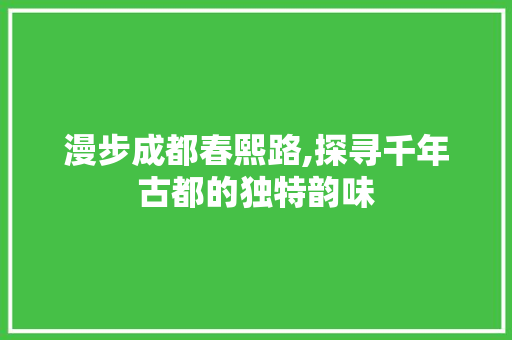 漫步成都春熙路,探寻千年古都的独特韵味