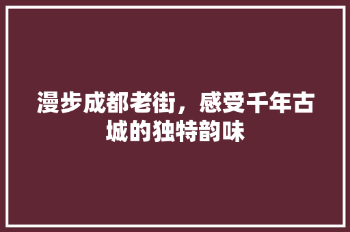 漫步成都老街，感受千年古城的独特韵味  第1张