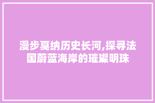 漫步戛纳历史长河,探寻法国蔚蓝海岸的璀璨明珠  第1张