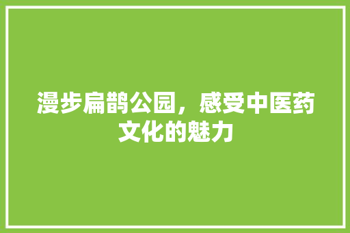 漫步扁鹊公园，感受中医药文化的魅力