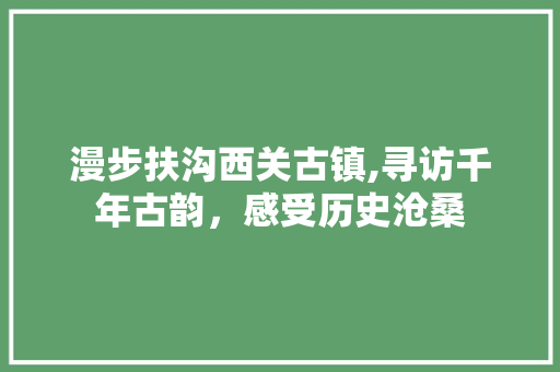 漫步扶沟西关古镇,寻访千年古韵，感受历史沧桑  第1张