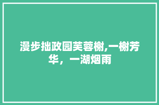 漫步拙政园芙蓉榭,一榭芳华，一湖烟雨  第1张