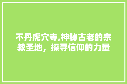 不丹虎穴寺,神秘古老的宗教圣地，探寻信仰的力量  第1张