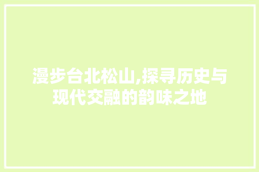 漫步台北松山,探寻历史与现代交融的韵味之地
