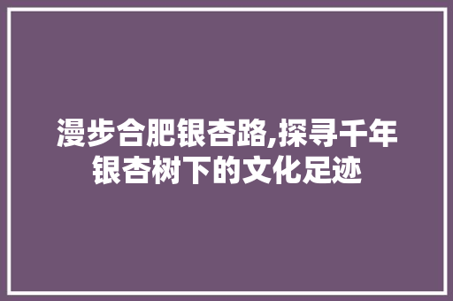 漫步合肥银杏路,探寻千年银杏树下的文化足迹  第1张