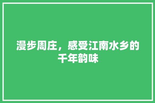 漫步周庄，感受江南水乡的千年韵味  第1张