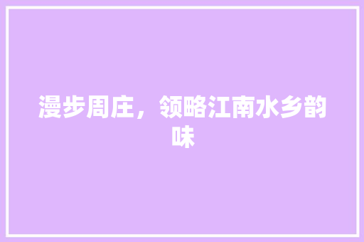 漫步周庄，领略江南水乡韵味  第1张