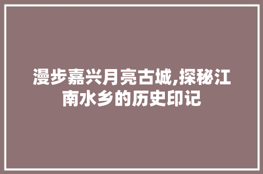 漫步嘉兴月亮古城,探秘江南水乡的历史印记